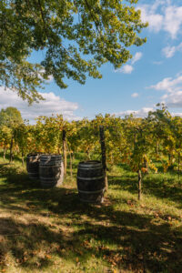 Lees meer over het artikel Weekendje weg – De Achterhoek