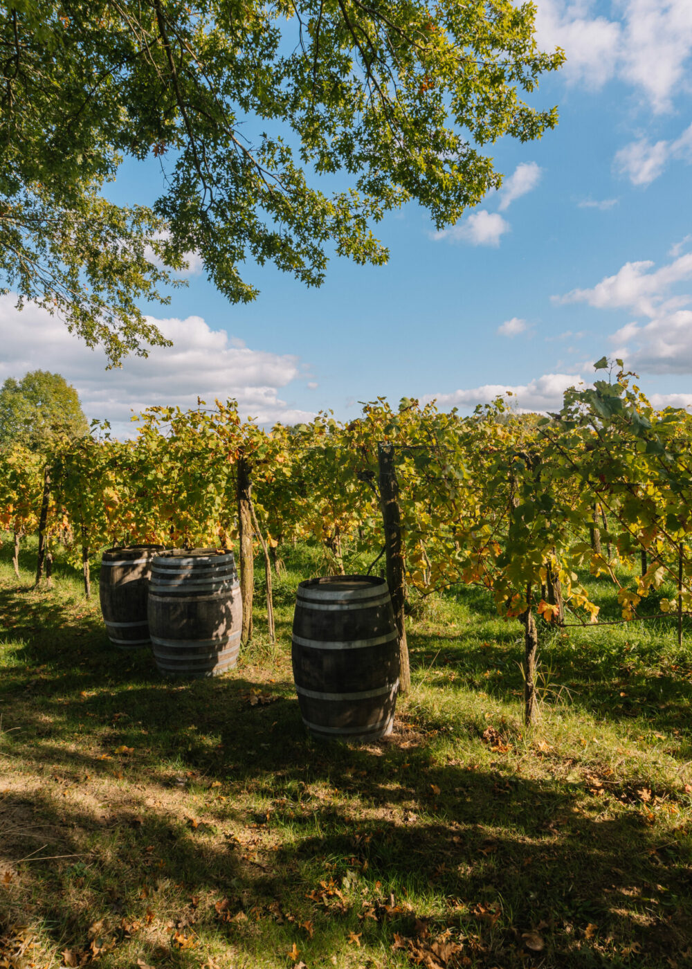 Weekendje weg – De Achterhoek